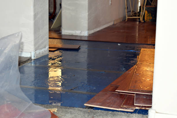 Professional Storm Water Damage Restoration technician working in Twin Lakes, CA